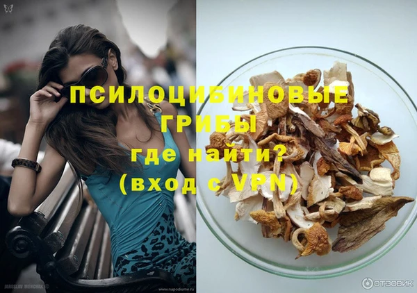 ГАЛЛЮЦИНОГЕННЫЕ ГРИБЫ Беломорск