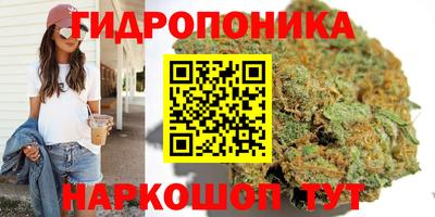 mdpv Малгобек