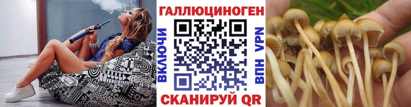 Псилоцибиновые грибы GOLDEN TEACHER  MEGA вход  Волжск 
