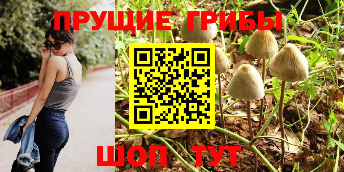 Волжск  Псилоцибиновые грибы мицелий  Вход с VPN  Галлюциногенные грибы Cubensis 